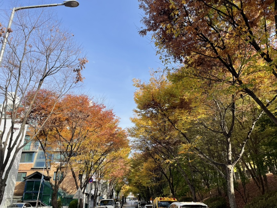 송백불한증막 이미지