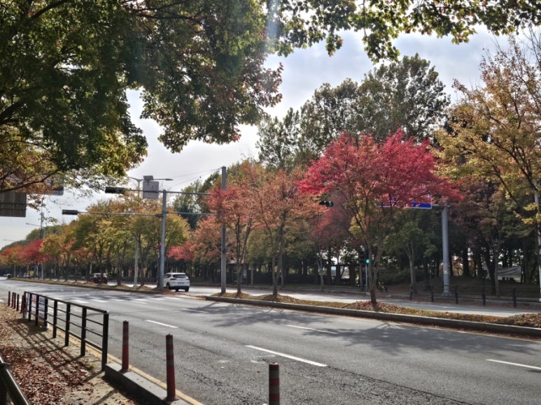 코너그레이 이미지