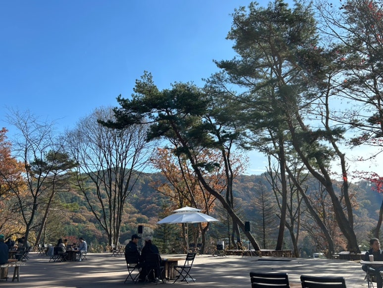 스테이수목 이미지
