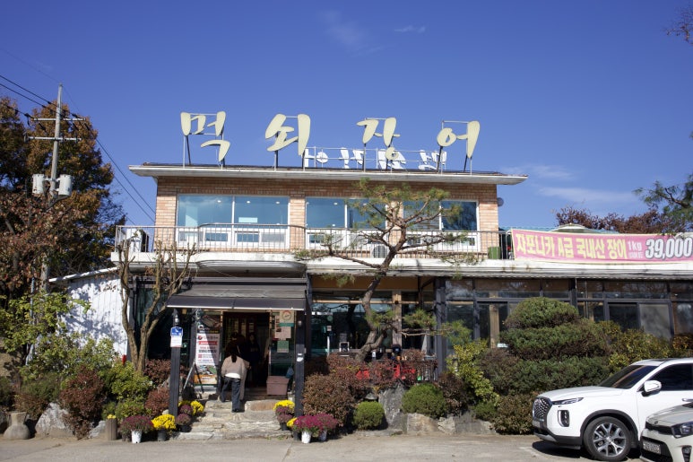 먹쇠민물장어 이미지