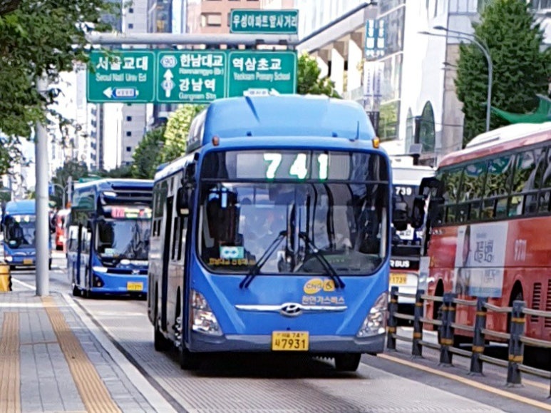 꽃진관 이미지