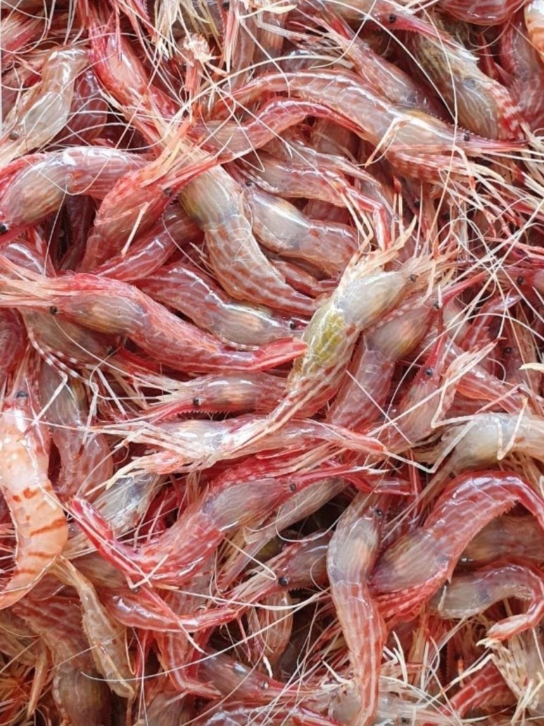 싱싱농수산 이미지