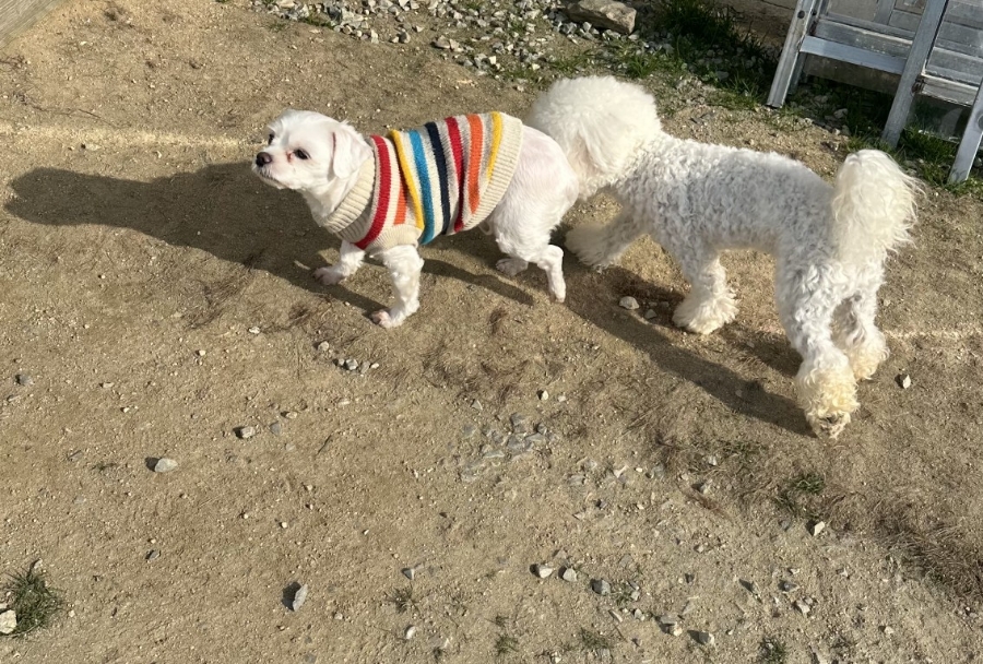 또또행복 이미지