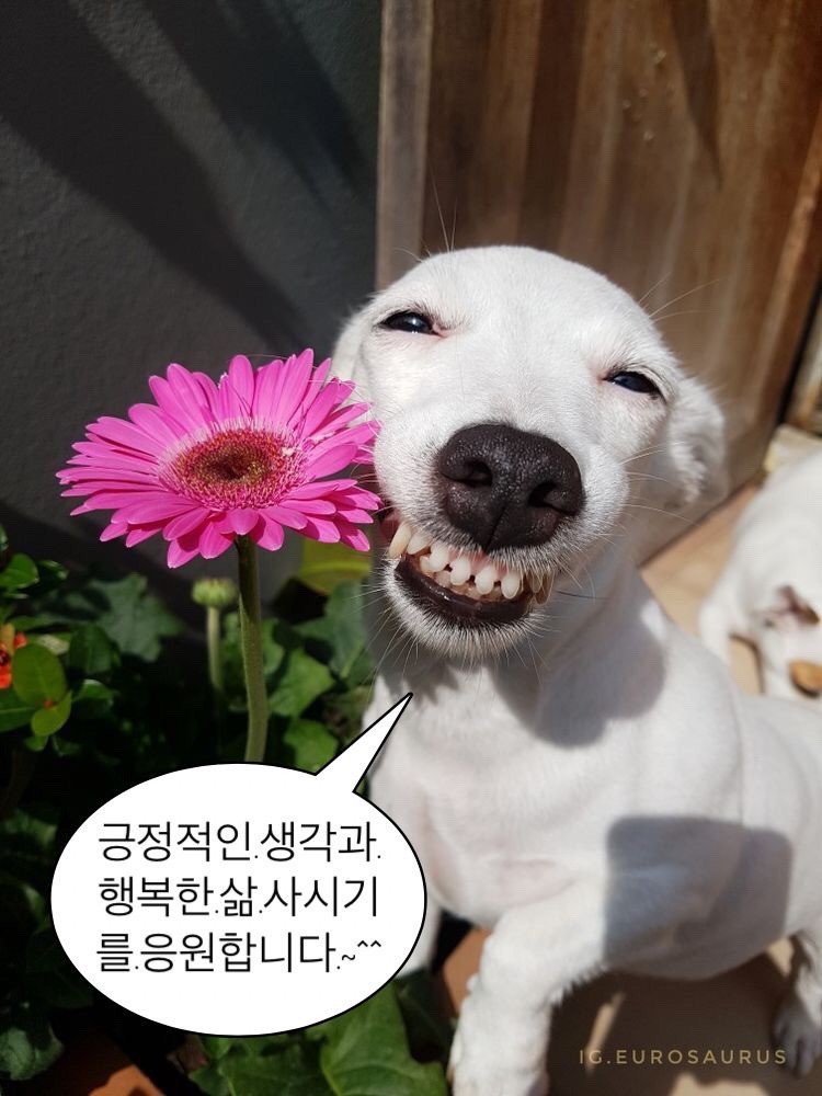 없음 이미지