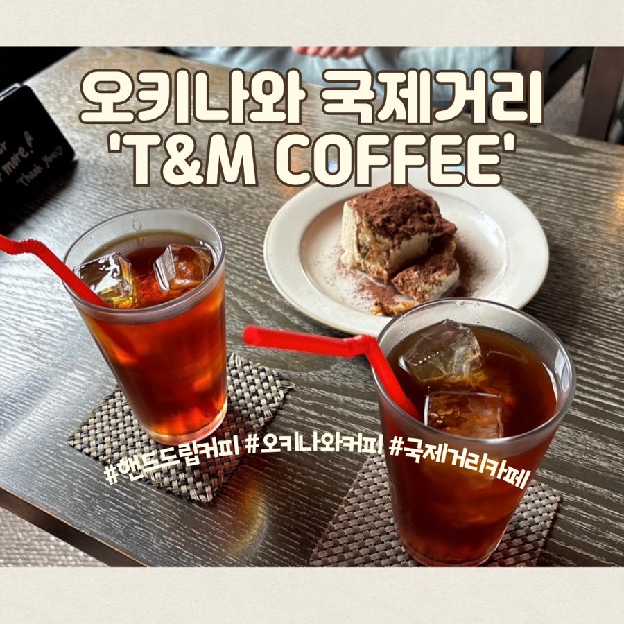 티엔엠 이미지