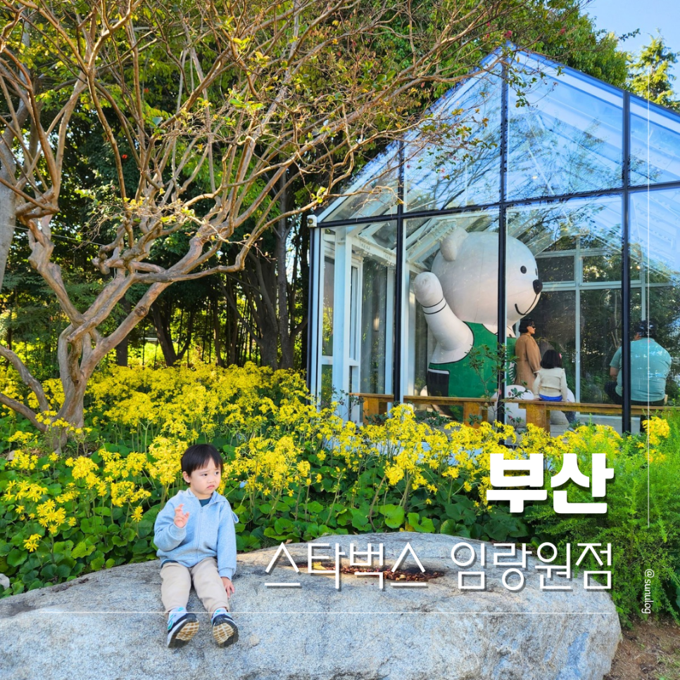 임랑월 이미지