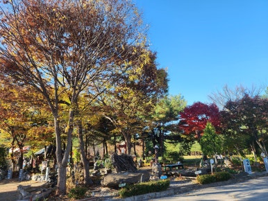 중앙휴게소 이미지