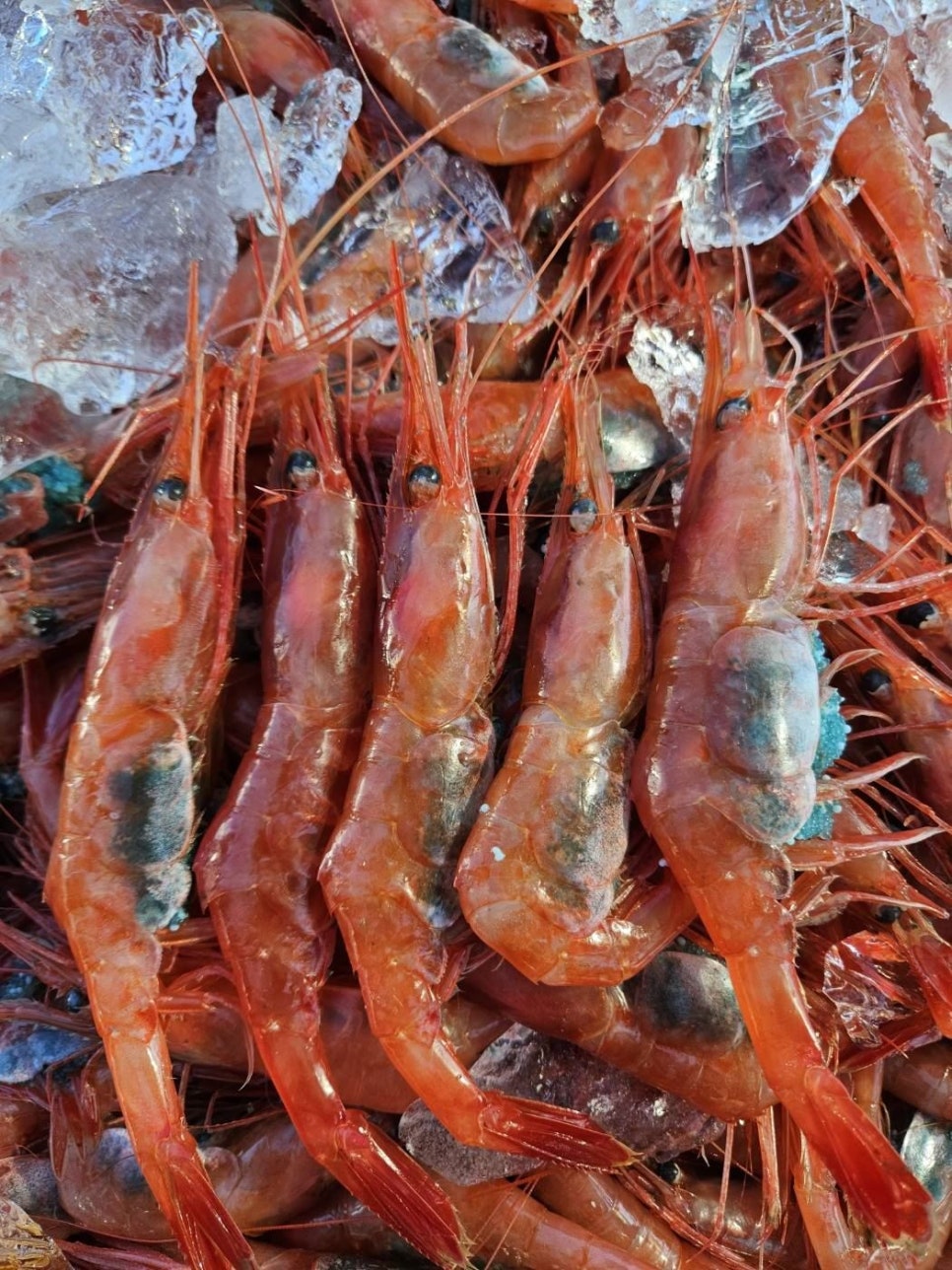 싱싱농수산 이미지