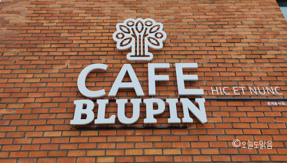 카페블루핀(CAFE BLUPIN) 이미지