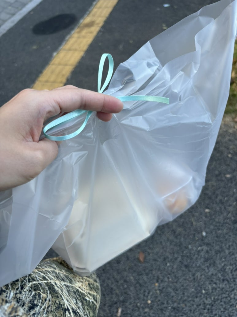 수피아리본 이미지