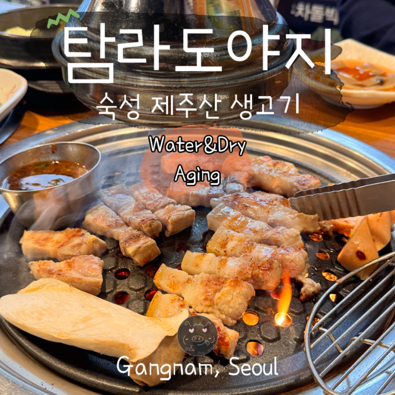 가야도야지 이미지