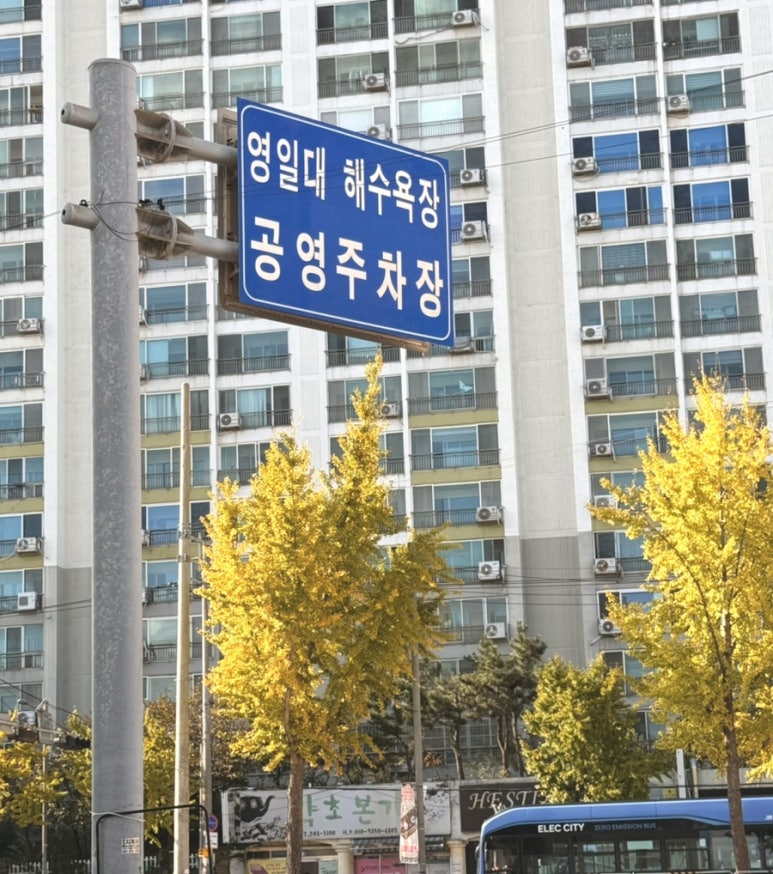 돌핀스모텔 이미지