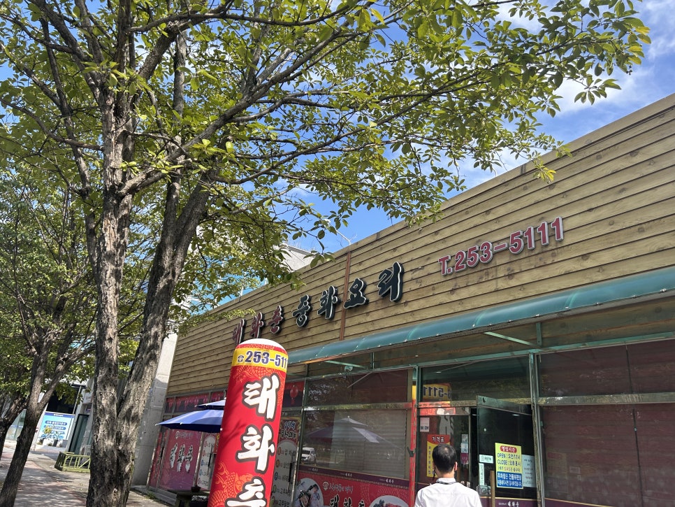 태화춘 이미지