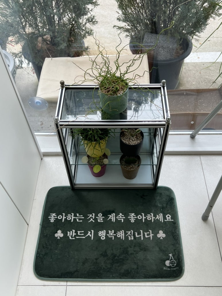 인커브 이미지