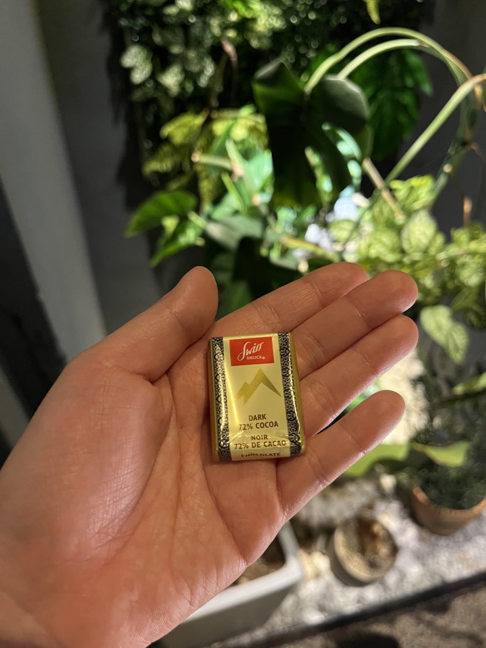 190 바(bar) 이미지