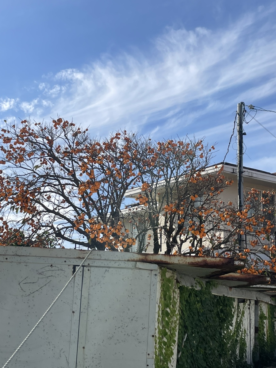 청우가든 사진 6