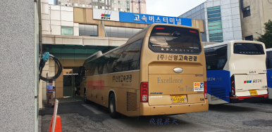 신영관광 이미지