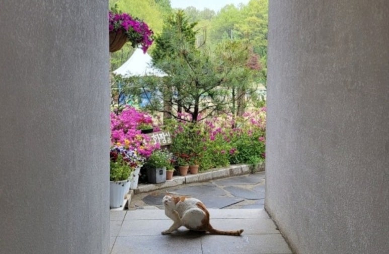 카페별 이미지