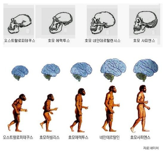 호모사피엔스 이미지