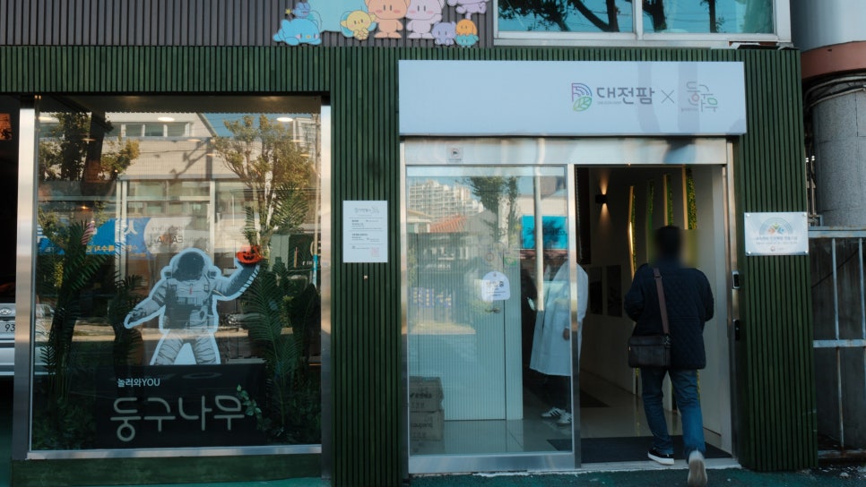 법인둥구나무 이미지