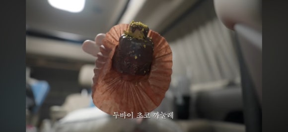 디끌레 이미지