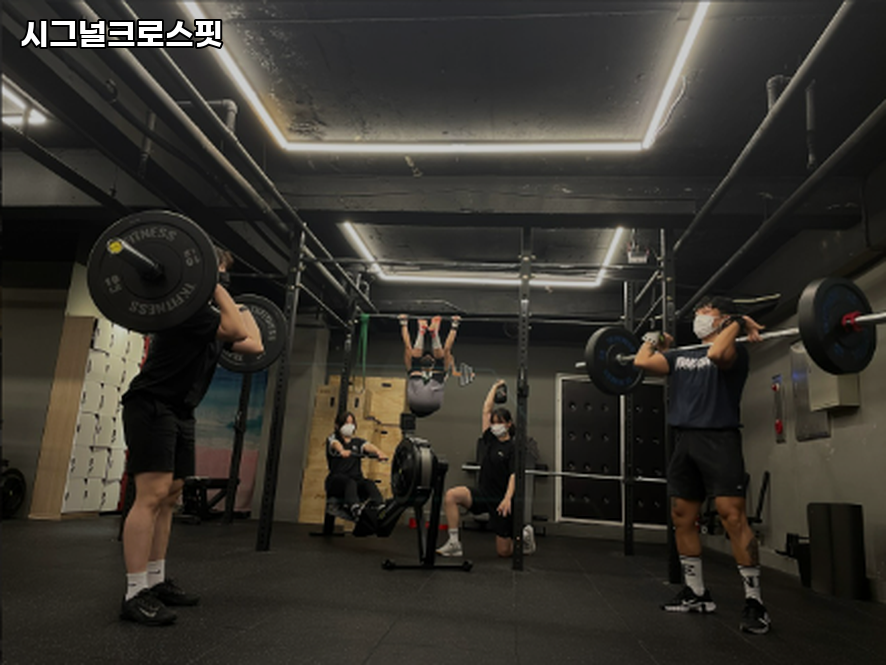 시그널크로스핏 이미지