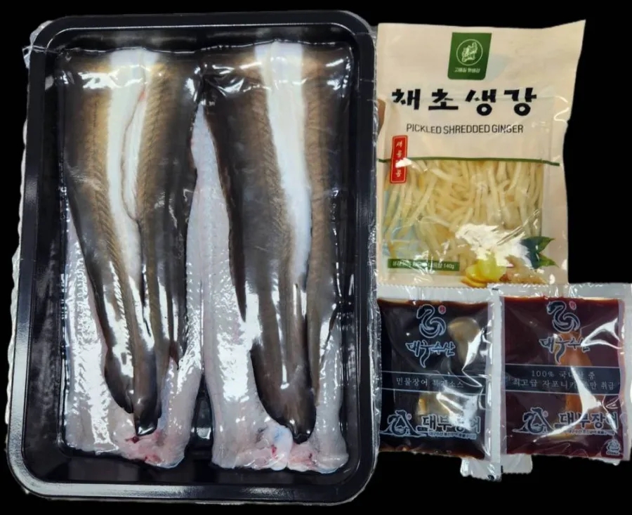 싱싱장어 이미지