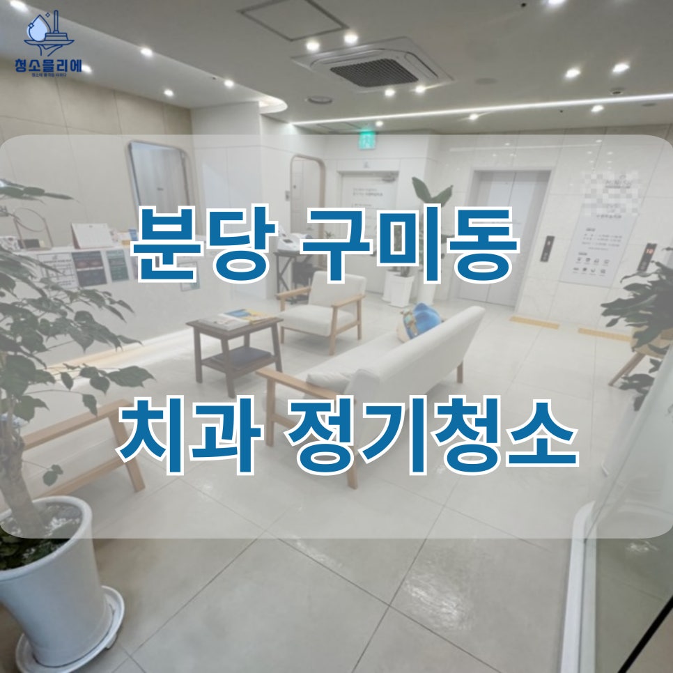 청소믈리에 이미지