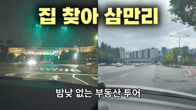 자니비 이미지