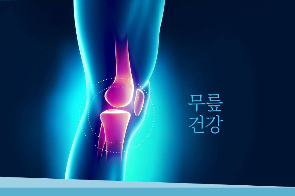 건강한 관절을 위한 선택, 해비타 조인트랩 MSM 칼마디 E4B302 이미지 2