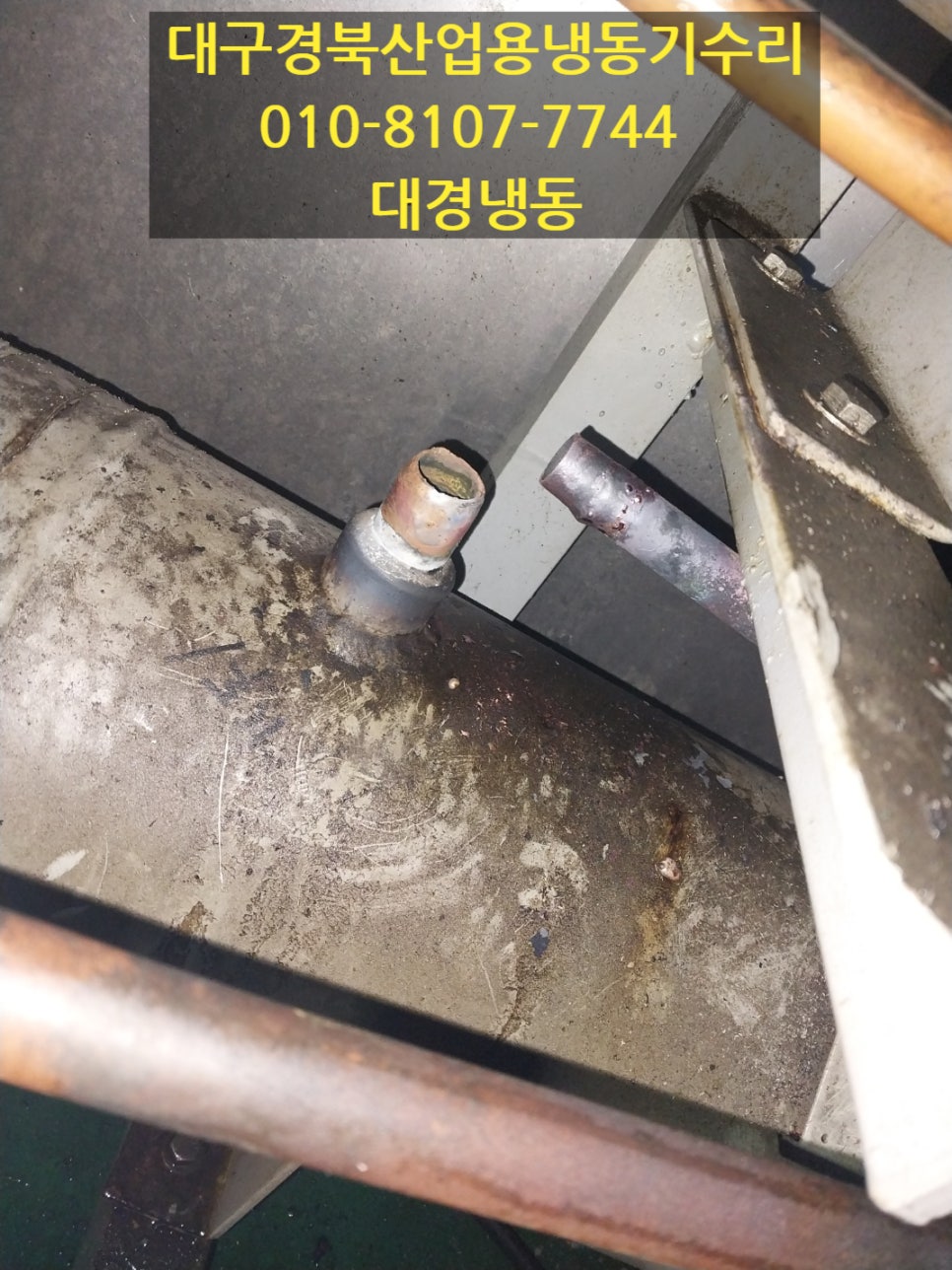대경냉동 이미지