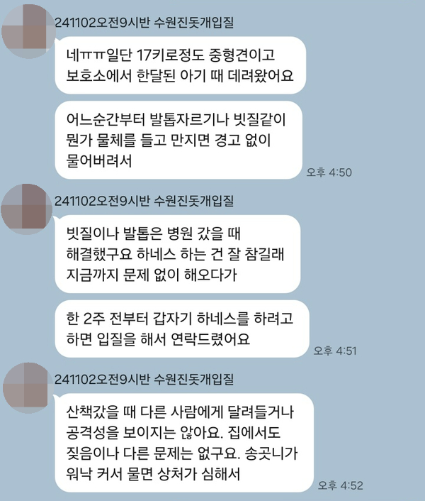 진도믹스 찰떡이 공격성 1회 교정 성공 후기 — 사진 2