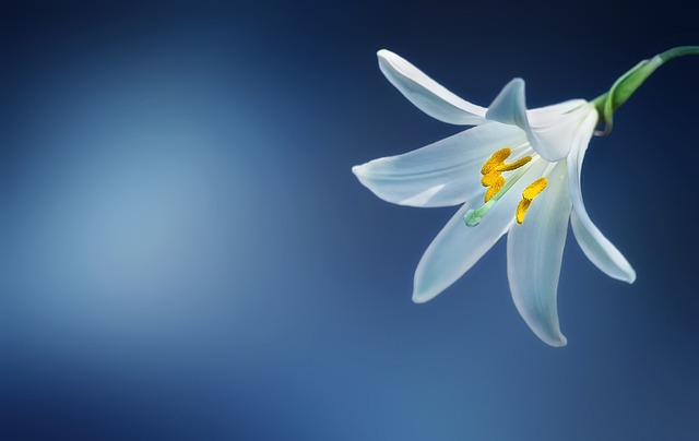 서울안심축산정육식당 이미지