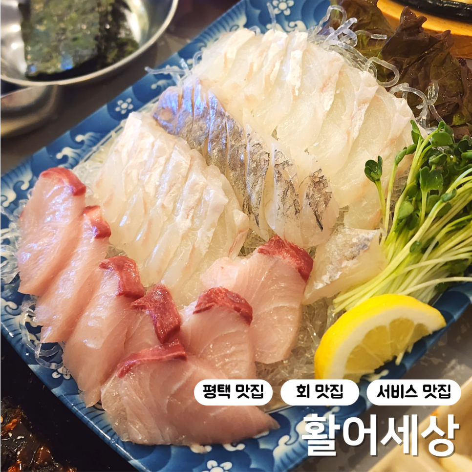 활어세상 이미지