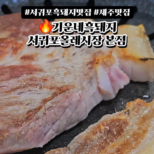 기운네흑돼지 이미지