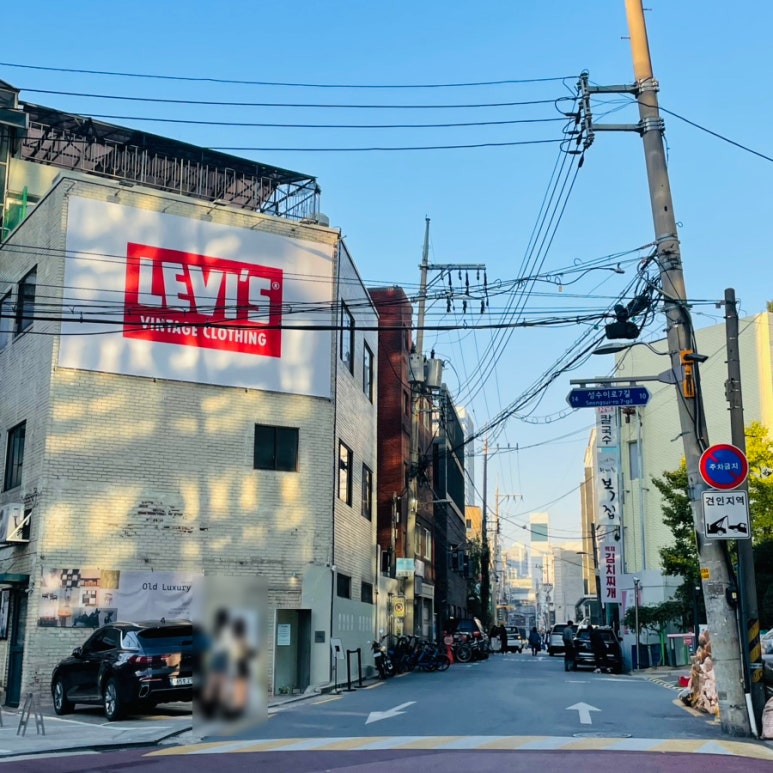 티포어스 사진 3