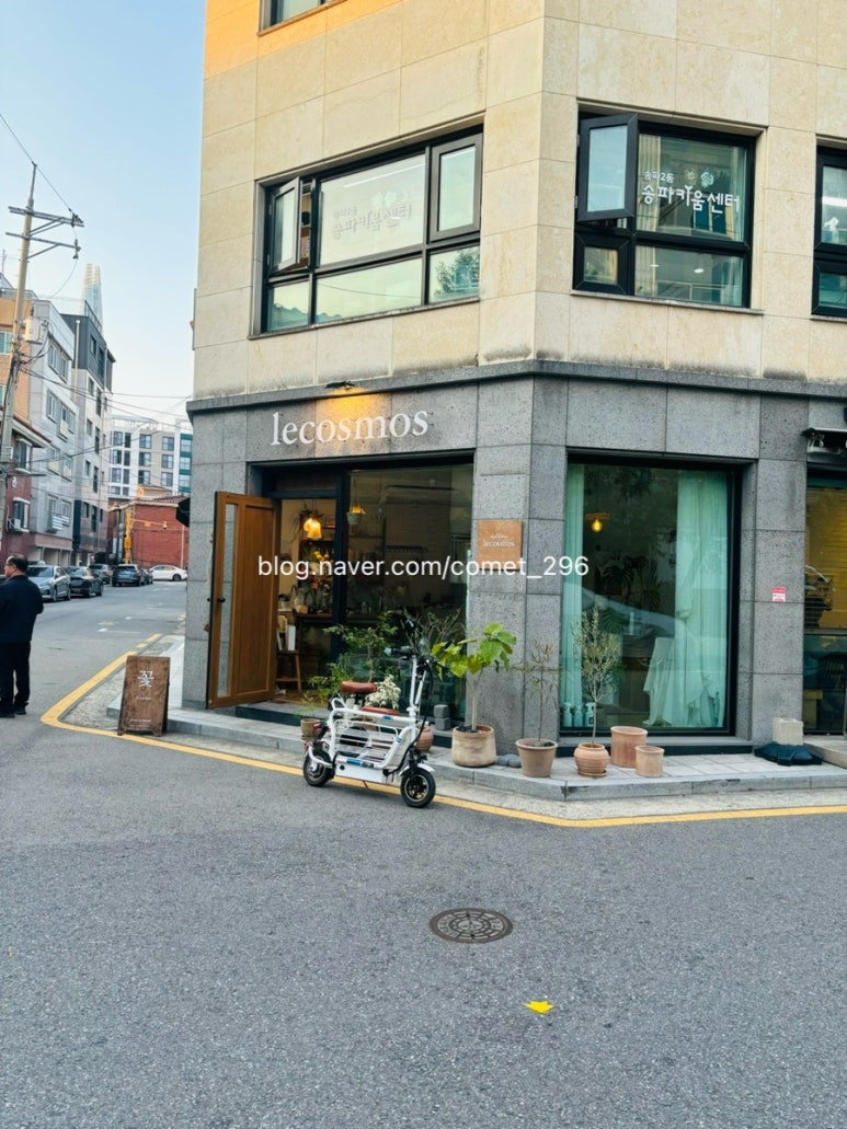 르코스모스 이미지