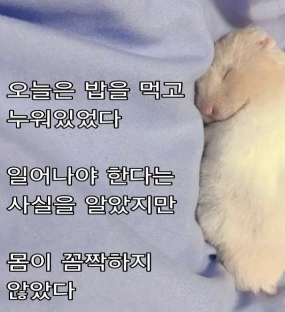 미래지점 이미지