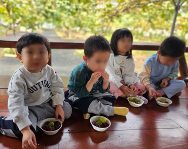 엄마사랑농원 이미지
