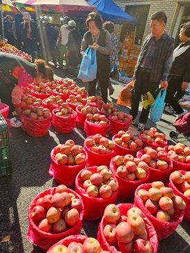 화창화원 이미지