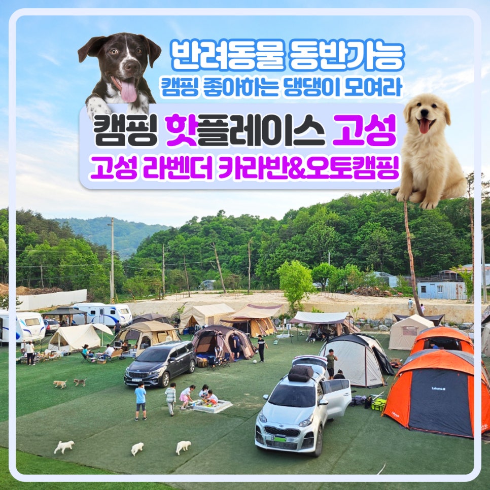 고성라벤더오토캠핑장 이미지