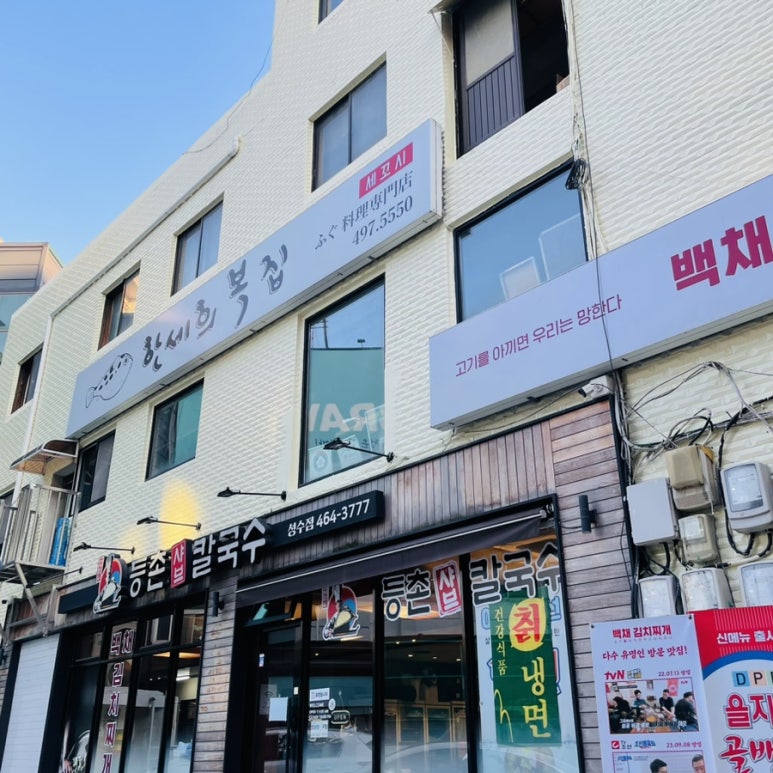 티포어스 사진 7