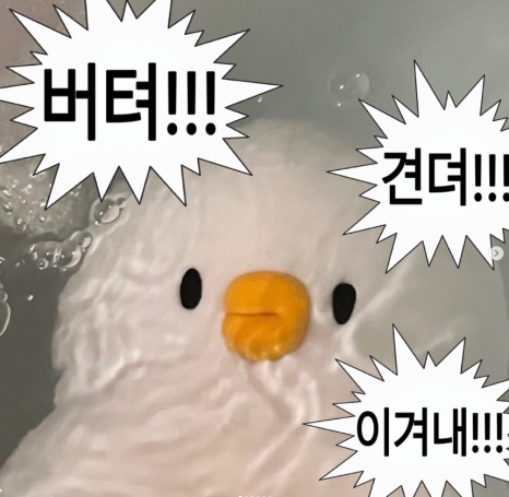 더베베 이미지