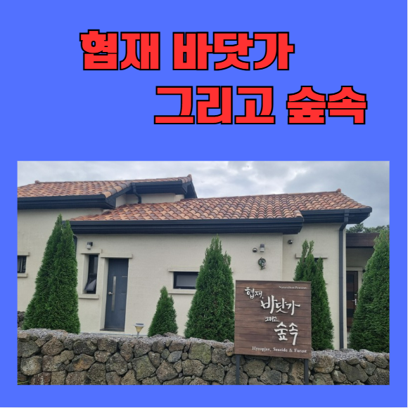 협재바닷가그리고숲속 이미지