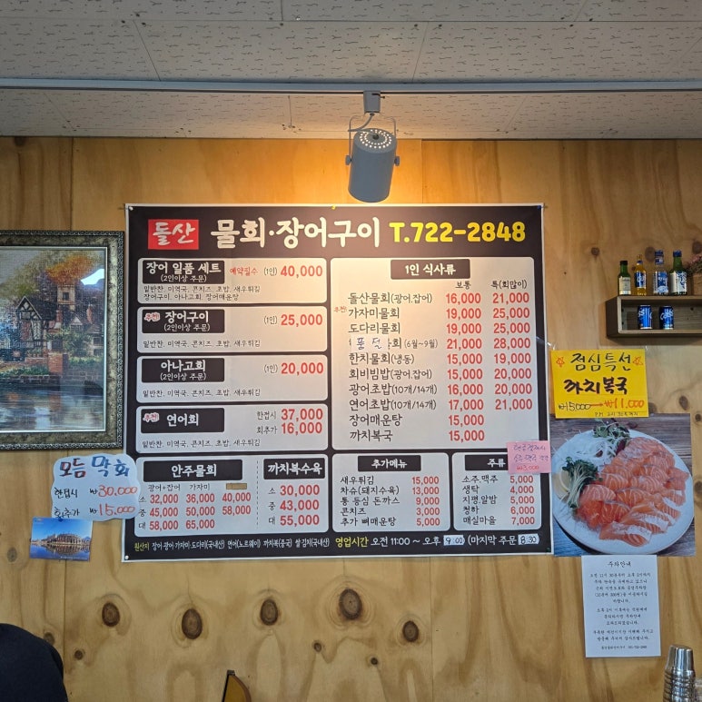 돌산아나고 이미지