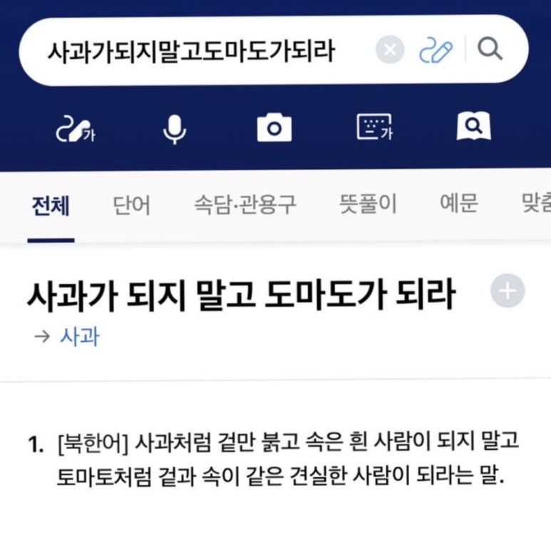 도마도마도 이미지
