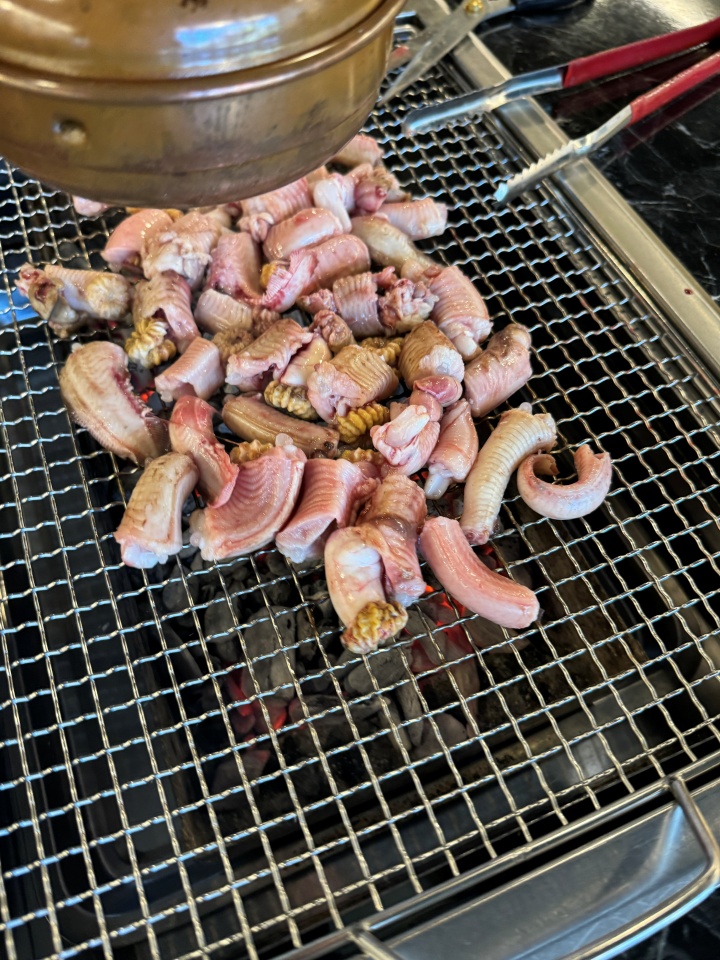 용마그집장어 이미지