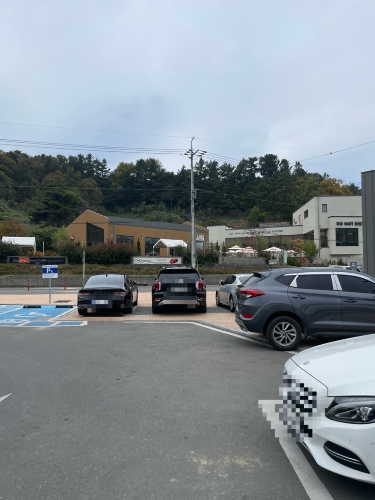 윌로우반곡247 이미지