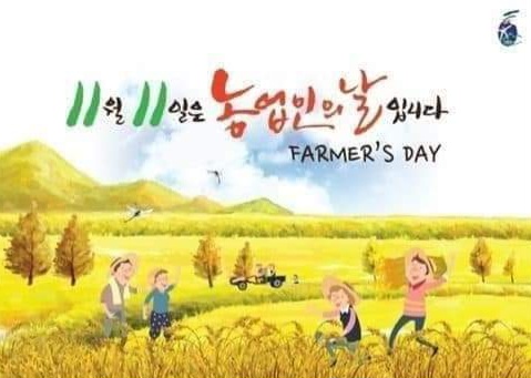 11월11일 이미지