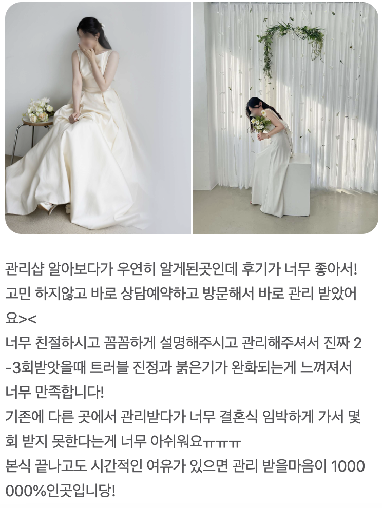 보니예 이미지
